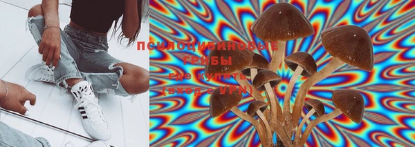 apvp Нея