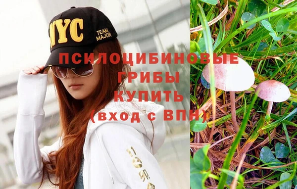 дживик Нефтекумск