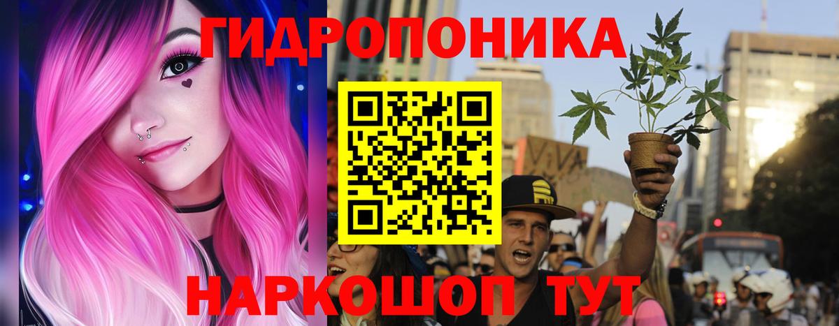 Бошки Шишки гибрид  Каннабис планчик  Вход с VPN  Каннабис тримм  Нижний Новгород  Шишки марихуана семена 